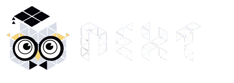 Next Sudan Logo